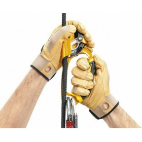 Petzl Ascension Pro B17ALA