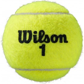 Wilson Roland Garros Clay Μπαλάκια Τένις για Τουρνουά 4τμχΚωδικός: WRT115000 