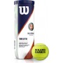 Wilson Roland Garros Clay Μπαλάκια Τένις για Τουρνουά 3τμχΚωδικός: WRT125000 