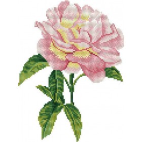 Diamond Dotz Ψηφιδωτό - Pink Rose Diamond Dotz Ψηφιδωτό - Pink Rose