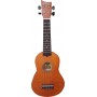 Ashton UKE170 Soprano Brown &amp Gig Bag