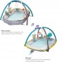 Taf Toys Γυμναστήριο Δραστηριοτήτων Koala με Μουσική για 3+ ΜηνώνΚωδικός: 12535 