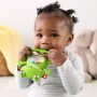 Fisher Price Shake &amp Rattle Frog