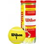 Wilson Championship Extra Duty Μπαλάκια Τένις για Προπόνηση 3τμχΚωδικός: WRT100101 