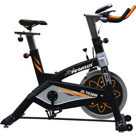 Pegasus Spin Bike Μαγνητικό με ΡοδάκιαΚωδικός: JX-7038W 