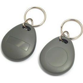 Secukey Κάρτα/Tag RFID 125KHz ΕΜ, 10τμχ Γκρι SCK-SKEY3