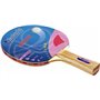 Garlando Arrow 2-Stars Ρακέτα Ping Pong για Αρχάριους ΠαίκτεςΚωδικός: 05-432-003 