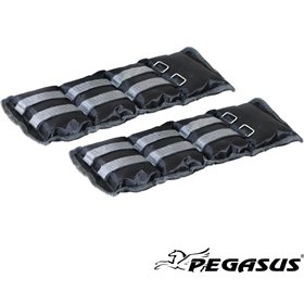 Pegasus Βαράκια Άκρων 2 x 2kgΚωδικός: Β-2112-20 