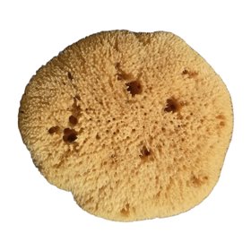 Βρεφικό Σφουγγάρι Μπάνιου Φίνο Φυσικό Καλύμνου για Μωρά