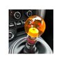 Simoni Racing Dragonball Πόμολο Ταχυτήτων Διάφανο Universal 54mm Πορτοκαλί