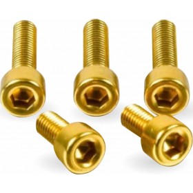 ΒΙΔΕΣ ΣΕΤ ΡΕΖΕΡΒΟΥΑΡ ALUMINIUM FUEL CAP KIT MT-09 TYA398G GOLD| PRO BOLT