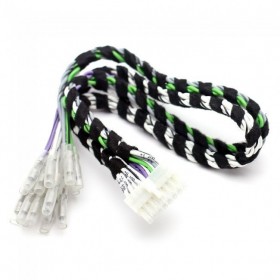 AUDISON - Prima AP SPK Out 8.9