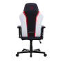 Gaming Καρέκλα -  Eureka Ergonomic® ONEX-FX8-BR