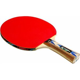 Αθλοπαιδιά Ρακέτα Ping Pong για Αρχάριους ΠαίκτεςΚωδικός: 012.90206 