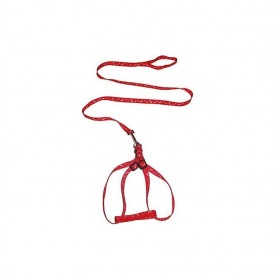 Λουρί σκύλου - 1.5 μέτρα - 671666