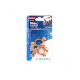 Μεταλλικό βύσμα μπαταρίας αυτοκινήτου - 110G