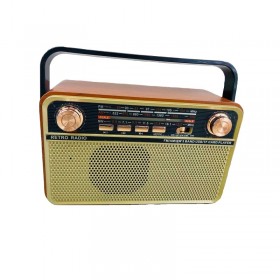 Επαναφορτιζόμενο ραδιόφωνο - 505BT - 865054