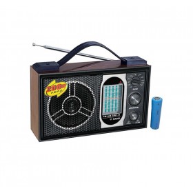 Επαναφορτιζόμενο ραδιόφωνο - R2008A - 020081