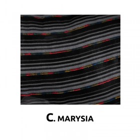 ΚΑΛΥΜΜΑΤΑ ΣΕΤ ΒΕΛΟΥΔΑ C