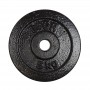 CAST IRON DISCS 5kg