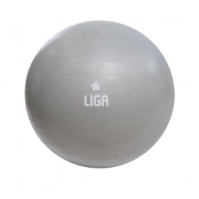 Gym Ball 65cm (grey) LIGASPORT* Gym Ball 65cm (grey) LIGASPORT*