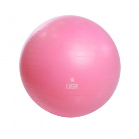 Gym Ball 65cm (pink) LIGASPORT* Gym Ball 65cm (pink) LIGASPORT*