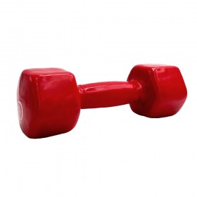 VINYL DUMBBELL ΑΛΤΗΡΑΣ ΒΙΝΥΛΙΟΥ 4kg (RED) LIGASPORT VINYL DUMBBELL ΑΛΤΗΡΑΣ ΒΙΝΥΛΙΟΥ 4kg (RED) LIGASPORT