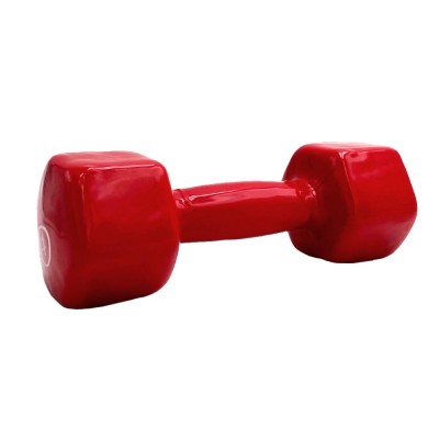 VINYL DUMBBELL ΑΛΤΗΡΑΣ ΒΙΝΥΛΙΟΥ 4kg (RED) LIGASPORT