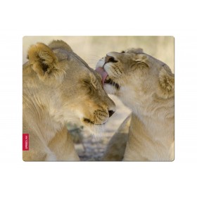 SPEEDLINK SL-6242-LION , SILK MOUSEPAD, LION