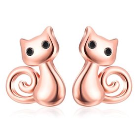 Trendwert Γυναικεία Σκουλαρίκια από ασήμι 925 και επιχρυσωμένο