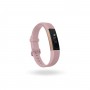 Fitbit Alta HR Special Edition Gunmetal - Pink (Large & Small)