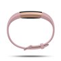 Fitbit Alta HR Special Edition Gunmetal - Pink (Large & Small)