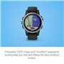 Garmin Fenix 5S Plus Multi-Sport GPS Watch