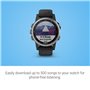 Garmin Fenix 5S Plus Multi-Sport GPS Watch