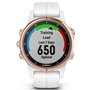 Garmin Montre Fenix 5S Plus