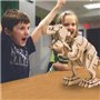 ROKR Ξύλινο 3D πάζλ δεινόσαυρος T-Rex RBT-D200, με κίνηση & ήχο, 102τμχ