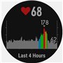 Garmin Fenix 5 (Silver with Black Band)