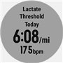 Garmin Fenix 5 (Silver with Black Band)