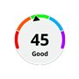 Garmin Vivoactive 3 (Black with Silver Hardware)