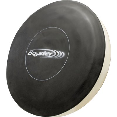 Booster (επαγγελματικός στόχος)