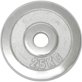 Δίσκος Χρωμίου 28mm 2,50kg