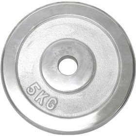 "Δίσκος Χρωμίου 28mm 5 Δίσκος Χρωμίου 28mm 5,00kg