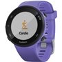 Garmin Forerunner 45S 39mm (Iris)
