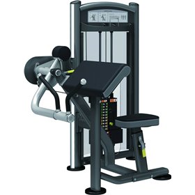 Arm Curl IT9303 46208