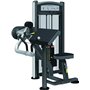 Arm Curl IT9303 46208