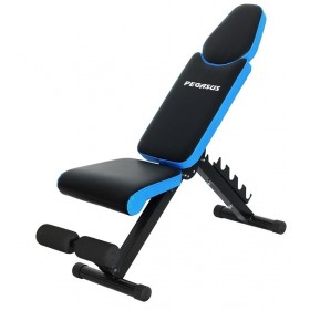 Pegasus JX‑503B Ρυθμιζόμενος Πάγκος Γυμναστικής Γενικής ΧρήσηςΚωδικός: Λ-5821  Pegasus JX‑503B Ρυθμιζόμενος Πάγκος Γυμναστικής Γενικής ΧρήσηςΚωδικός: Λ-5821