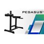 Pegasus HCLT-5006 Ρυθμιζόμενος Πάγκος Γυμναστικής ΡαχιαίωνΚωδικός: Λ-5042 