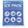 Παγοκύστη Ice Pack Τ600