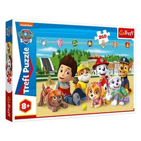 Barbie Wellness Spa - Mattel