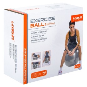 Μπάλα Γυμναστικής Γκρι 75 cm